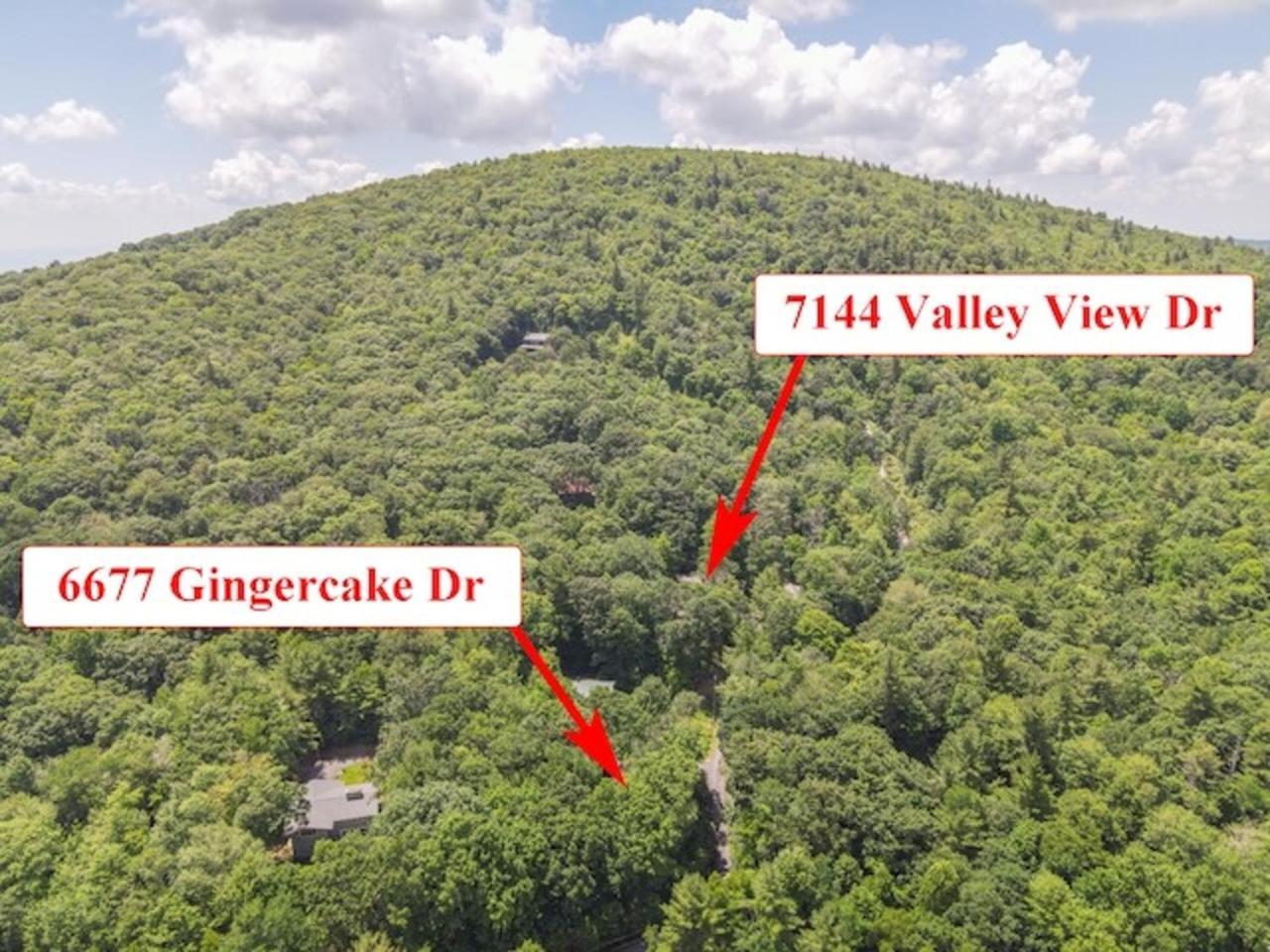 Gingercake Mtn Cottage At Linville Gorge - Wood Burning Fireplace Linville Falls Exterior photo